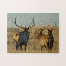 E0028 Bull Elk Jigsaw Puzzles