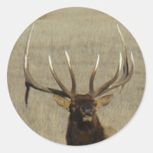 E0029 Bull Elk sticker