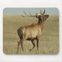 E0035 Bull Elk mouse pad