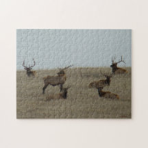 E0041 Bull Elk Jigsaw Puzzle
