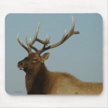 E0042 Bull Elk mouse pad