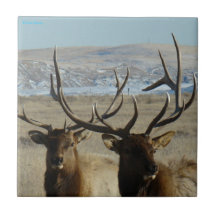 E0045 Bull Elk Ceramic Tile