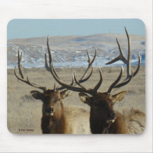 E0045 Bull Elk Mouse Pads