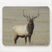E0046 Bull Elk Mousepad