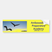 eagle4 bumper sticker