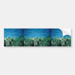 Eagle Bumper Stickers