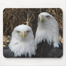Eagle eyes mousepads