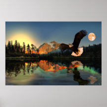 Eagle-Flight-29 Print