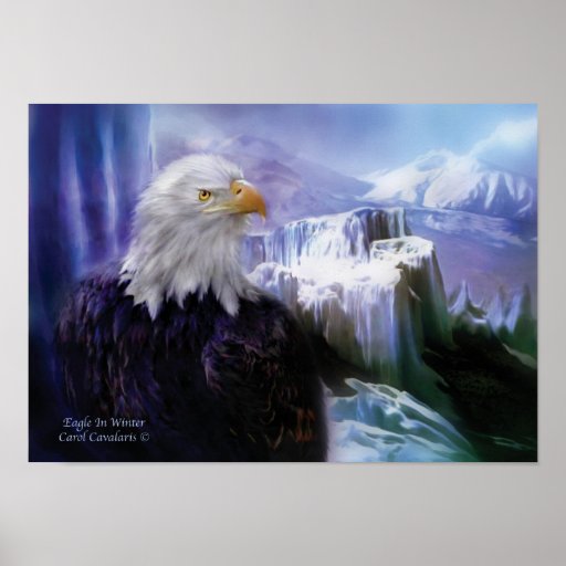Eagle In Winter Art Poster/Print