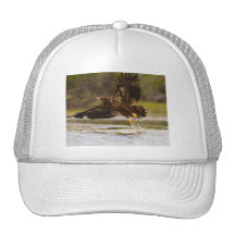 eagle mesh hat