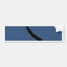 Eagle over Forks, Washington Bumper Sticker