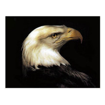 Eagle Postcards
