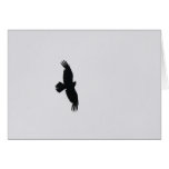 Eagle Soar Cards