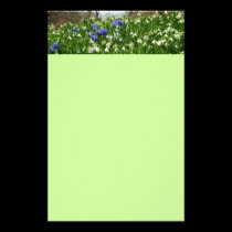 Early Spring Flowers Stationery stationery