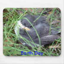 Earth Day Mouse Mats