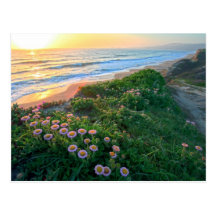 Earth Day Post Card