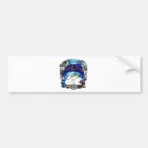 EARTHDAY 2011 DESIGN FROM DAVID M. BOOTH BUMPER STICKER