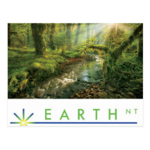 EarthNTForestPoster.jpg Post Cards