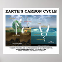 Earth's Carbon Cycle (Earth Science) Print