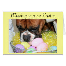 Easter Boxer Dog greeting card