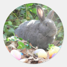 Easter Bunny Sticker