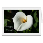 Easter Cana Lily greeting card