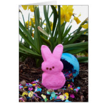 Easter card