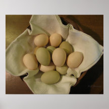 Easter Egg Chicken Eggs Poster