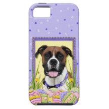 Easter Egg Cookies - Boxer