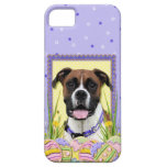 Easter Egg Cookies - Boxer