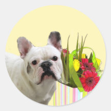 Easter French Bulldog stickers