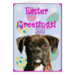 Easter Greetings boxer greeting card