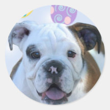 Easter greetings bulldog stickers