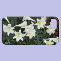 Easter Lily (Lilium regale) casemate cases
