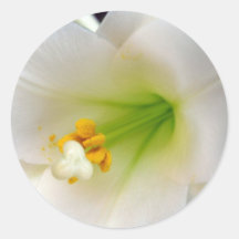 Easter Lily Round Sticker