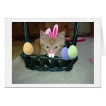 Easter Orange Tabby Kitty Cat Greeting Cards