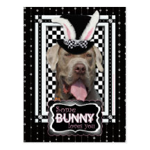 Easter - Some Bunny Loves You - Mastiff Post Card