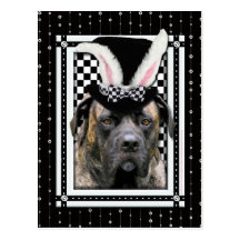 Easter - Some Bunny Loves You - Mastiff Postcards