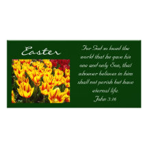 Easter Tulips Photocards Bible Scripture John 3:16 Customized Photo Card