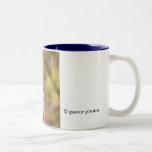 Eastern Bluebird - 15oz Mug