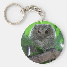 Eastern Screech Owl Key Chains