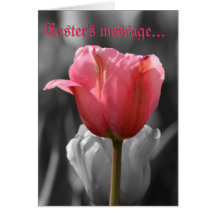 Easter's Message pink tulip (bw) greeting card