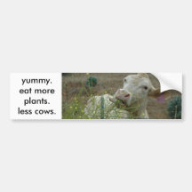eat more plants.  less cows. bumper stickers