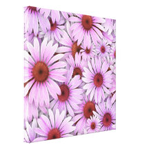 Echinaceas Everywhere Gallery Wrap Canvas
