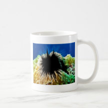 Echinothrix Calamaris Sea Urchin Coffee Mug