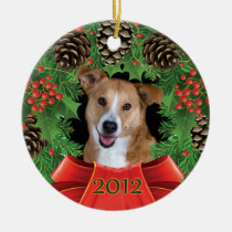Echo 2012 Personalised Holiday Ornament ornaments