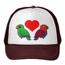 Eclectus Parrot Love Hats