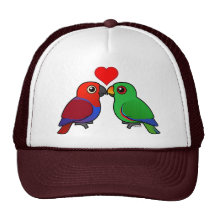 Eclectus Parrots in Love Mesh Hats