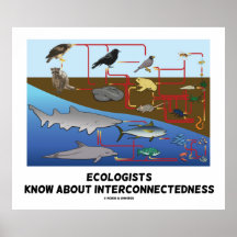 Ecologists Know About Interconnectedness Food Webs Poster