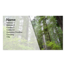 Ed Sutton - Green Trees Business Card Template